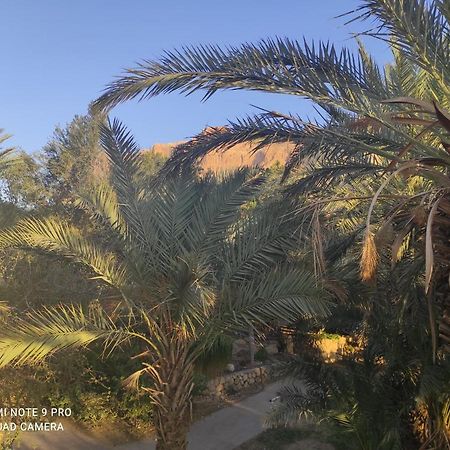 Bar Suite Ein Gedi Luaran gambar